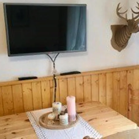 Location 2 Pieces Au Pied Des Pistes Avec Balcon, - Fr-1-573-30 *