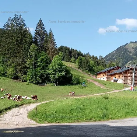 Apartment Location 2 Pieces Au Pied Des Pistes Avec Balcon, - Fr-1-573-30 *